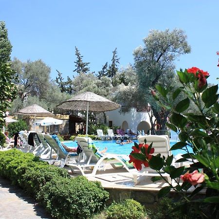 Toloman Bitezpark Apartments Bodrum ภายนอก รูปภาพ